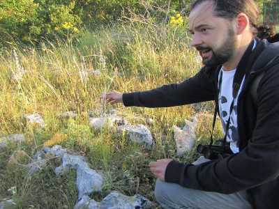 Dino Ippolito, vicepresidente del Wwf Alta Murgia - Terre peucete, ci mostra delle graminacee argentate chiamate "capelli di fata"...
